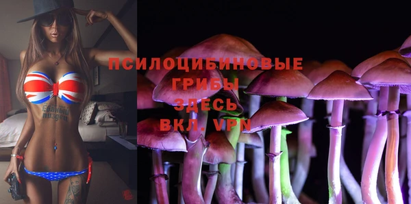 a pvp Куйбышев
