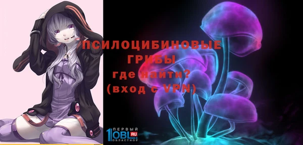 твердый Кукмор