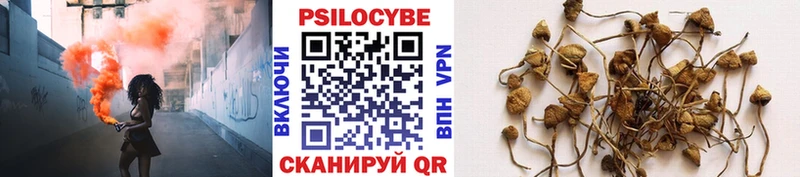 Купить где  Первоуральск  Псилоцибиновые грибы Psilocybine cubensis 