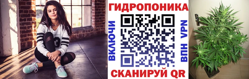 Шишки марихуана Bruce Banner  Купить где  Первоуральск 